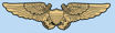 D08-N.jpg