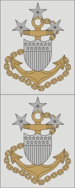 D81-CG.jpg