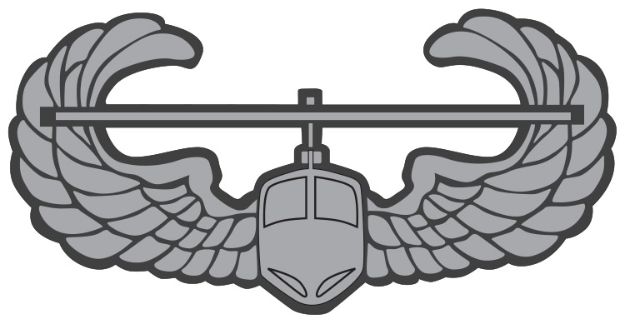 PI14752 Air Assault Wing Lapel Pin.jpg