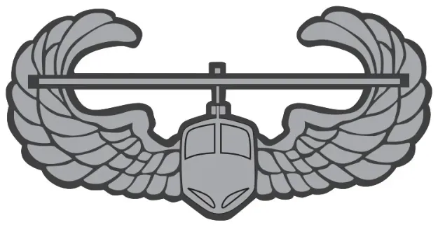 PI14752 Air Assault Wing Lapel Pin.jpg