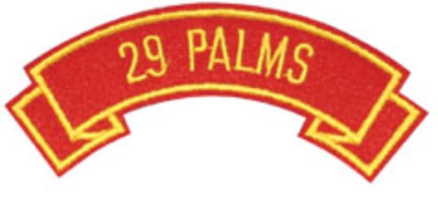 P99-M 29 PALMS.jpg