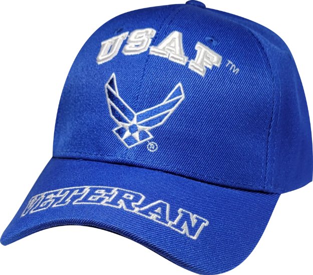 Picture of AIR FORCE VETERAN