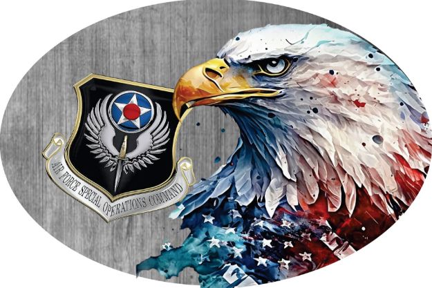 Picture of Oval Magnet - Air Force Special Forces