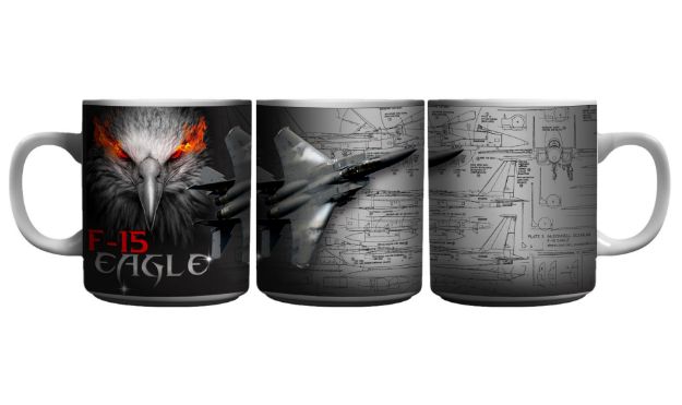 Picture of F-15 Eagle Aircraft