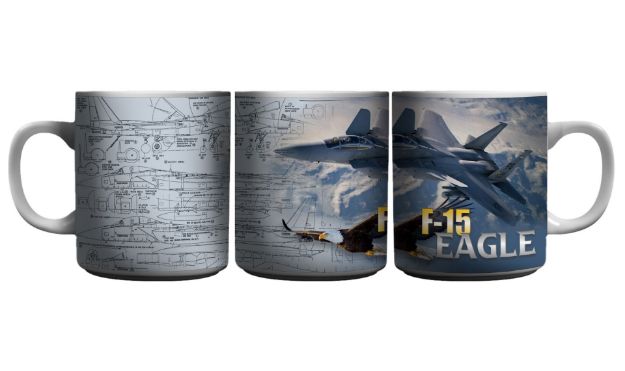 Picture of F-15 Eagle Aircraft