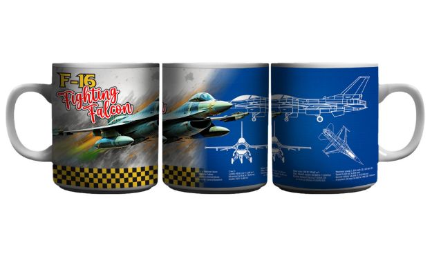 Picture of F-16 Fighting Falcons