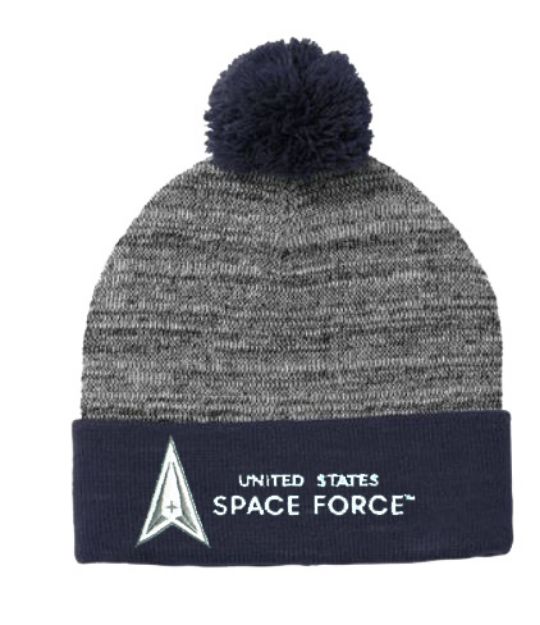 Picture of SPACE FORCE