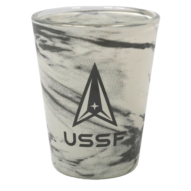 Picture of U.S. Space Force