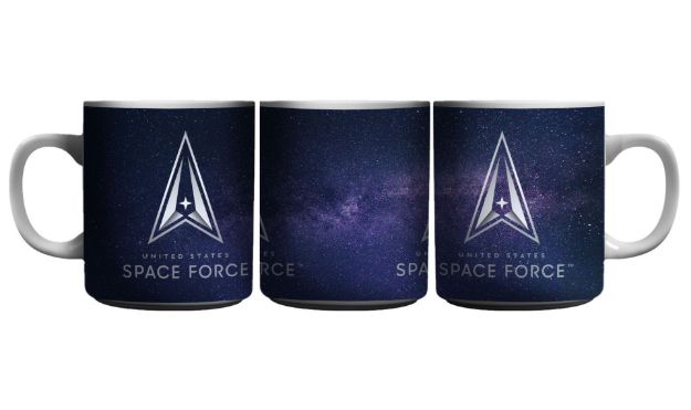 Picture of U.S. Space Force
