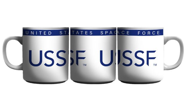 Picture of U.S. Space Force