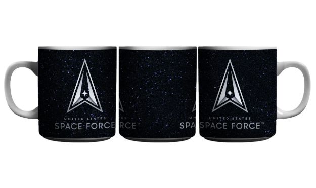 Picture of U.S. Space Force