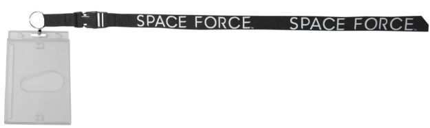 Picture of U.S. Space Force