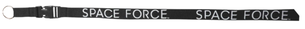 Picture of U.S. Space Force