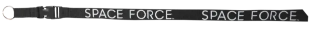 Picture of U.S. Space Force