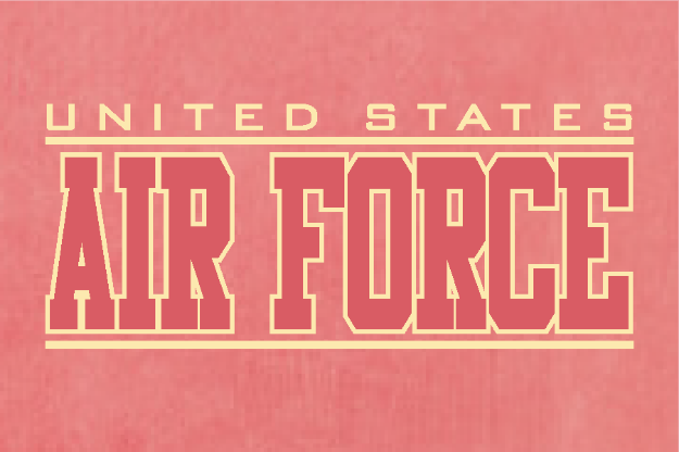 Picture of U.S. Air Force