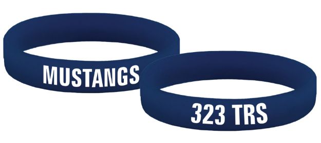 Picture of 323 TRS Mustangs