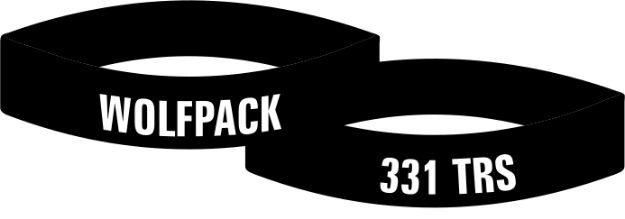 Picture of 331 TRS Wolfpack