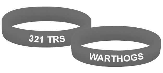 Picture of 321 TRS Warthogs