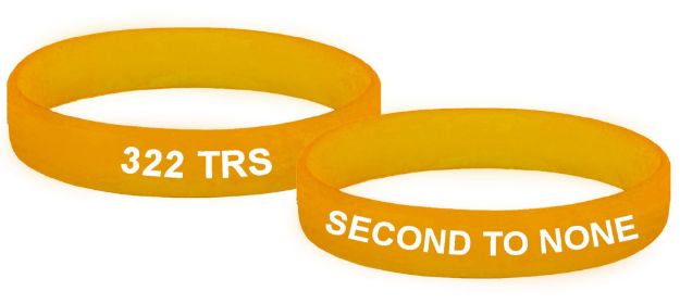 Picture of 322 TRS Second to None