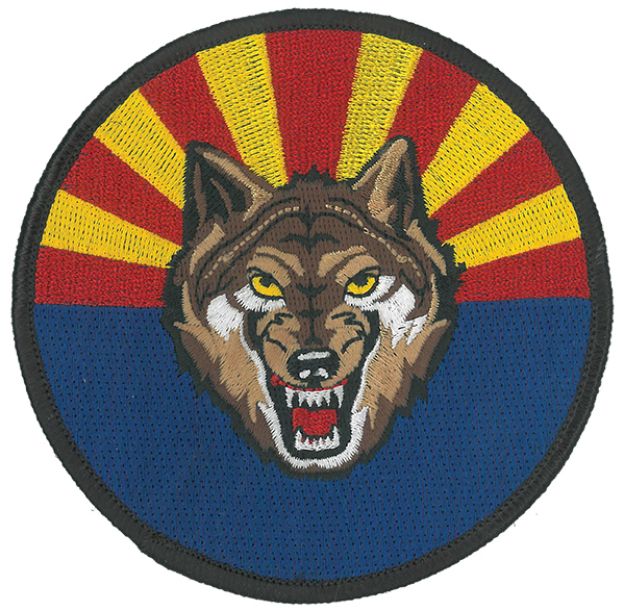 Picture of Patch - Combat Logistics Command