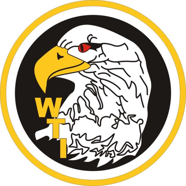 Picture of Patch - WTI Eagle Head