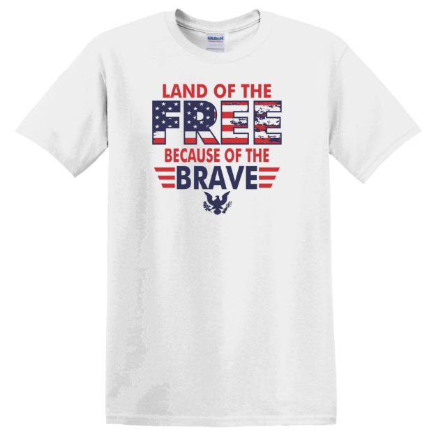 Picture of Land of the Free Because of the Brave
