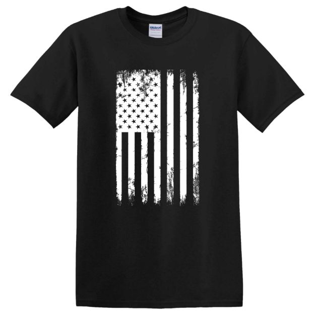 Picture of American Flag