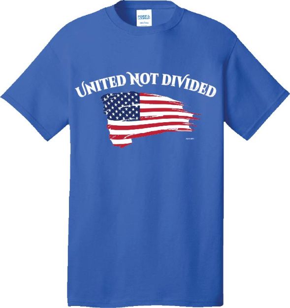 Picture of American Flag