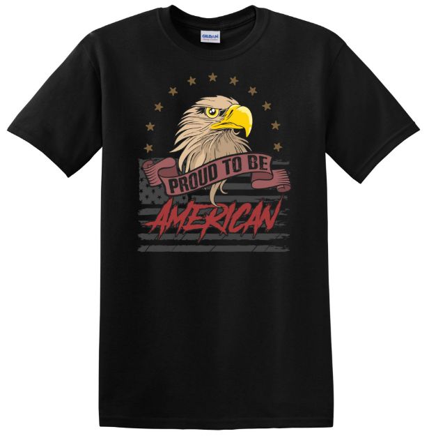 Picture of Proud to Be American