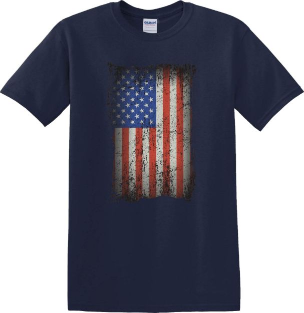 Picture of American Flag