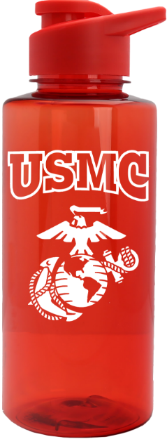 Picture of USMC EGA