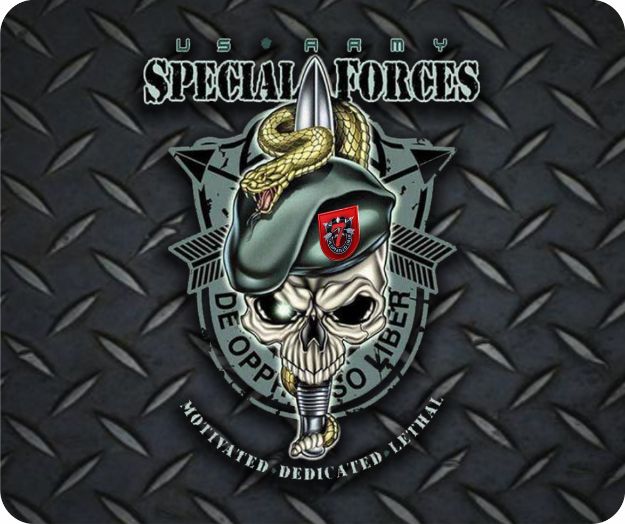 Picture of 7th Special Forces Green Beret