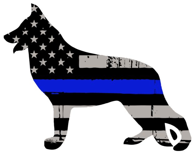D501.jpg