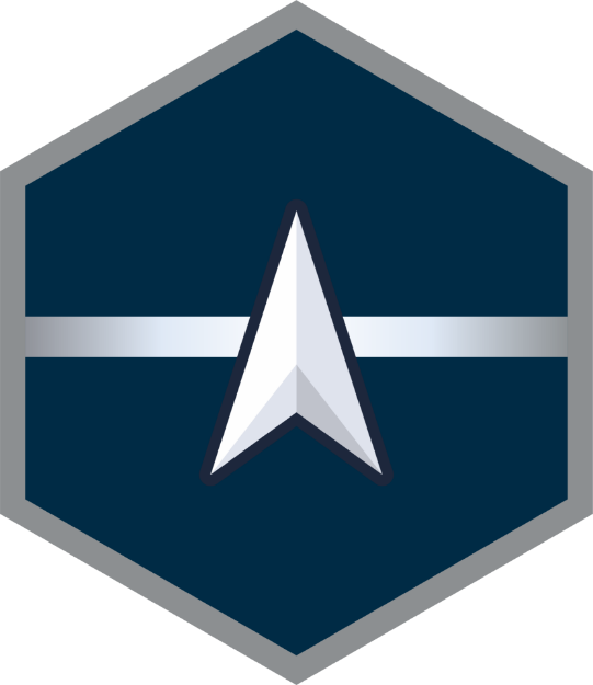 Picture of Mylar Decal - Space Force E-2 Specialist
