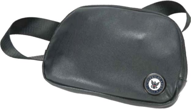 Picture of U.S. Navy Crest