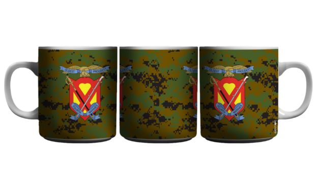 Picture of 4th Marine Regiment CSIB