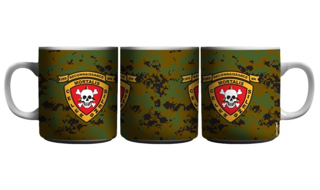 Picture of 3rd reconnaissance Battalion