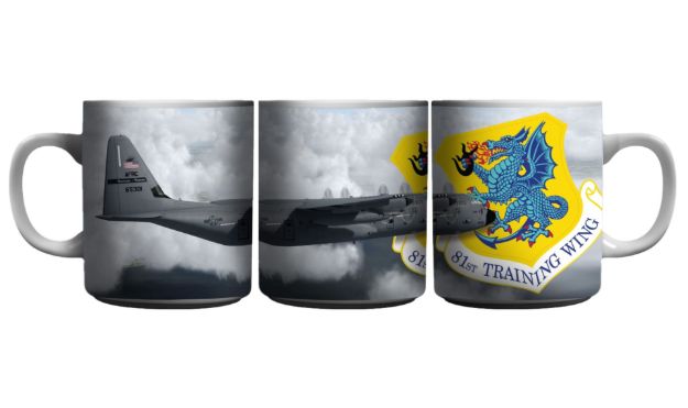 Picture of 81st training Wing