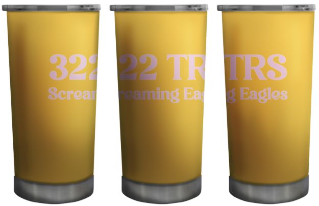 Picture of 322 TRS Screaming Eagles