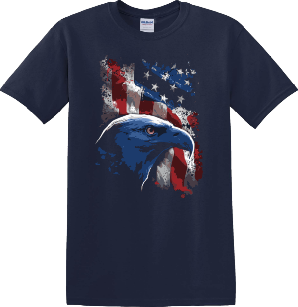 Picture of American Flag