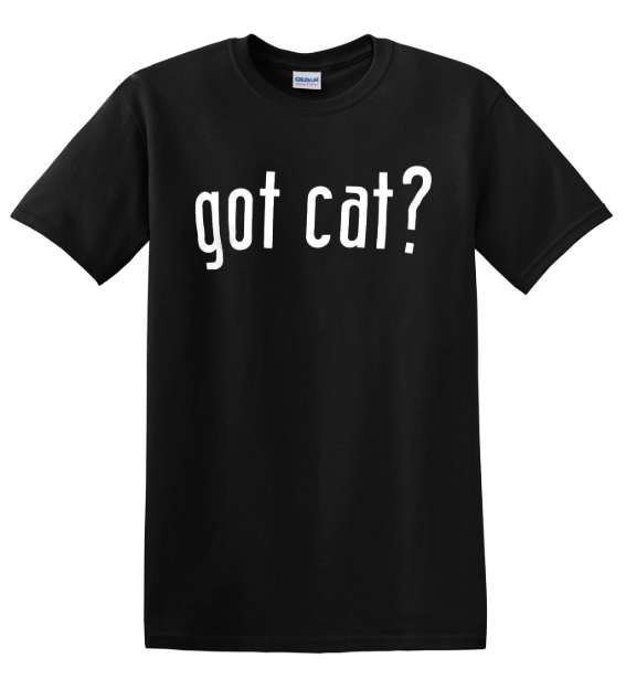 Picture of Cat
