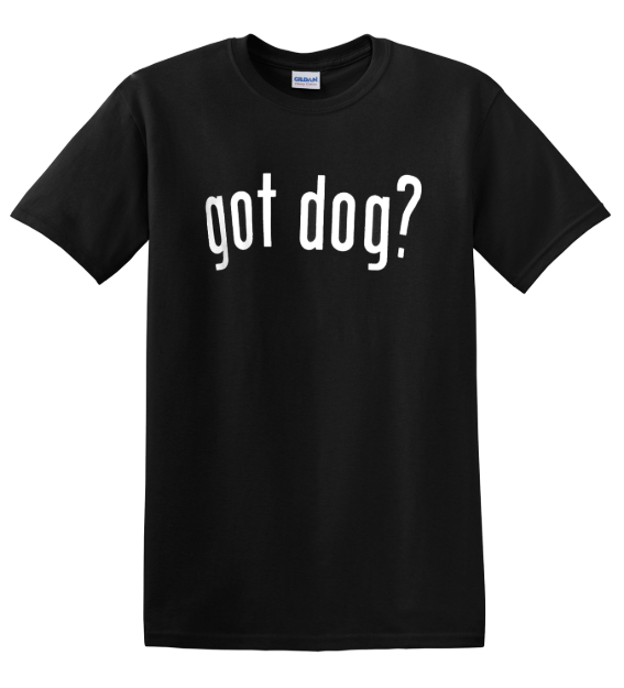Picture of Dog