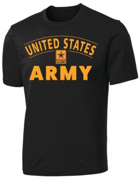 Picture of Vintage Army Star