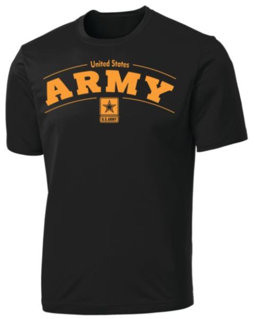 Picture of Vintage Army Star