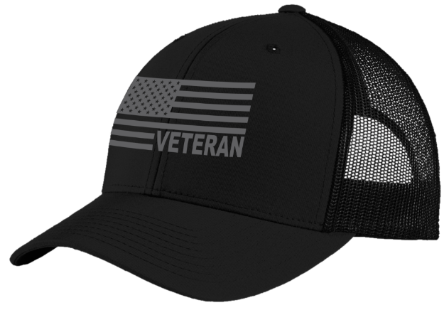 Picture of AMERICAN FLAG VETERAN