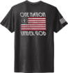 Picture of One Nation Under God