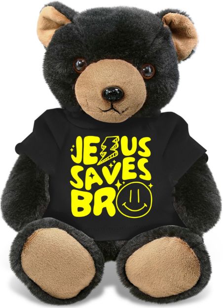 Picture of Jesus Saves Bro