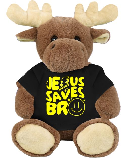 Picture of Jesus Saves Bro