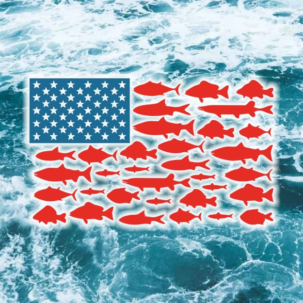 Picture of Fish Flag