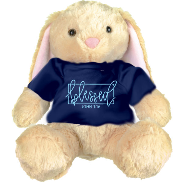 Picture of Blessed Plush Bunny